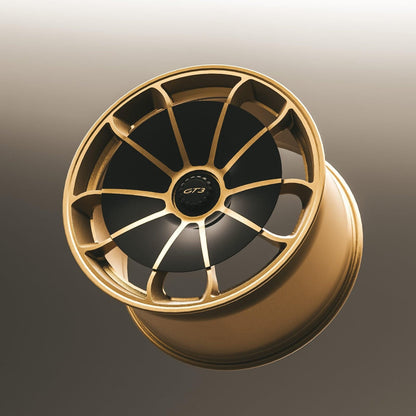 Aerodisc Gold Leaf Porsche GT3 991