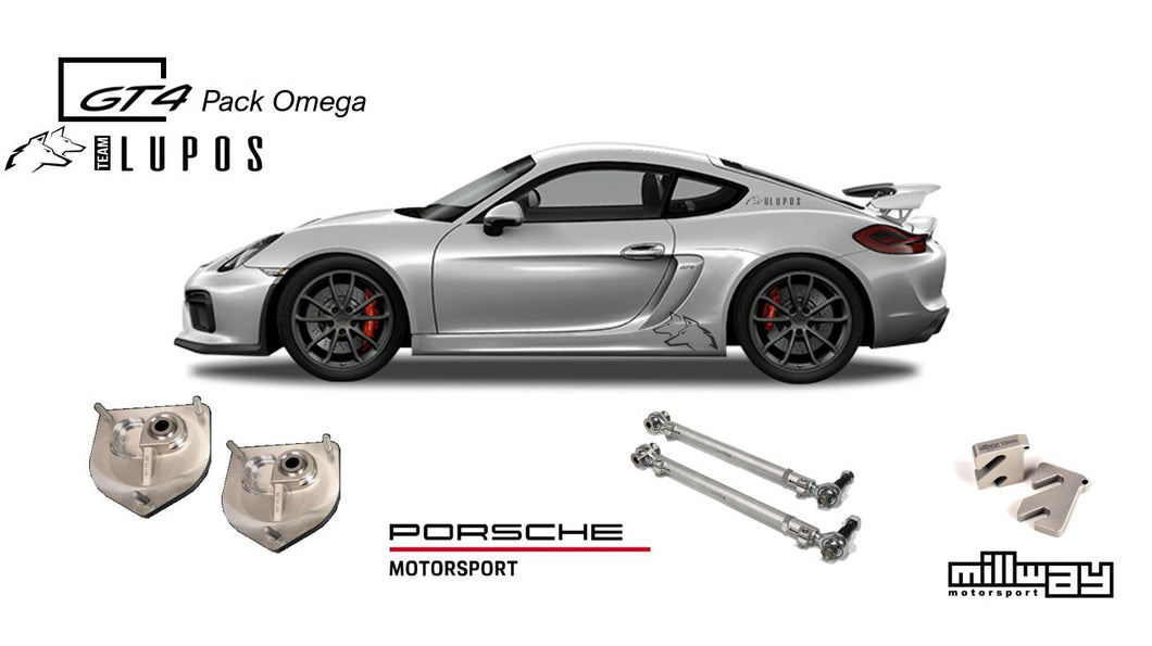 Pack Omega Porsche Cayman GT4 981